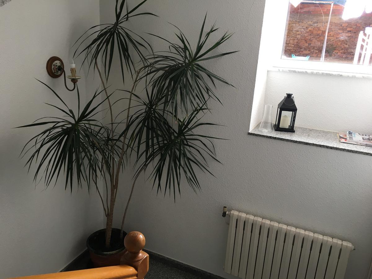 Pension Rosalia De Castro Hotel Foz Eksteriør billede